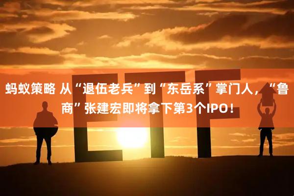 蚂蚁策略 从“退伍老兵”到“东岳系”掌门人，“鲁商”张建宏即将拿下第3个IPO！