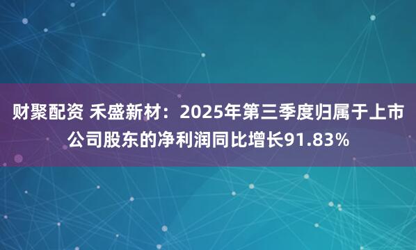 财聚配资 禾盛新材：2025年第三季度归属于上市公司股东的净利润同比增长91.83%